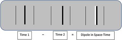 The coherent organization of dynamic visual images